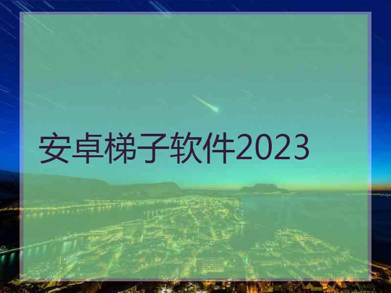 安卓梯子软件2023
